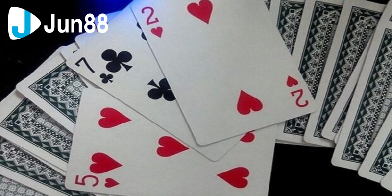 Khi sử dụng heo đỏ cần nắm những quy tắc 