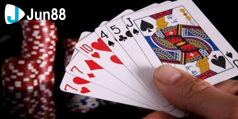 Để học hỏi kinh nghiệm nên lắng nghe những người chơi chuyên nghiệp trong cách dụ heo đỏ để chặt hiệu quả